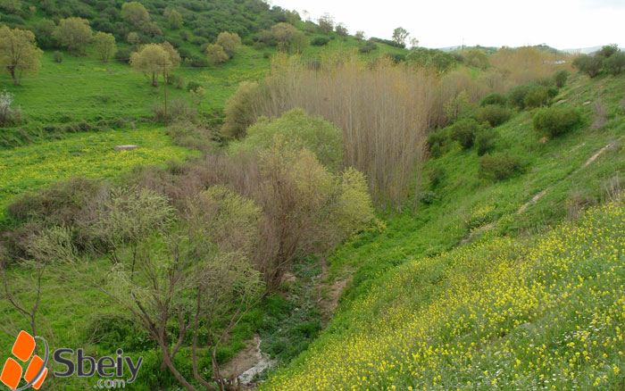 فۆتۆ: بێسارانه‌ ره‌ش