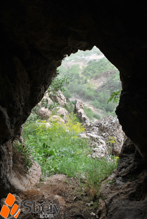 فۆتۆ: لایه‌ن سدیق