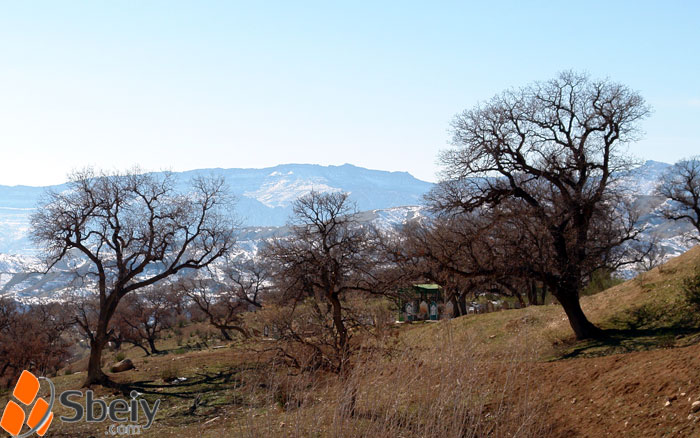 فۆتۆ: بێسارانه‌ ره‌ش