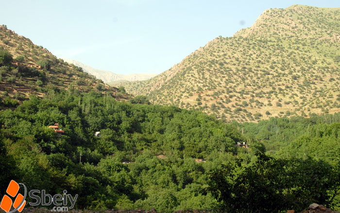 فۆتۆ: بێسارانه‌ ڕه‌ش