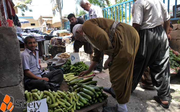 فۆتۆ: سیروان عه‌ول