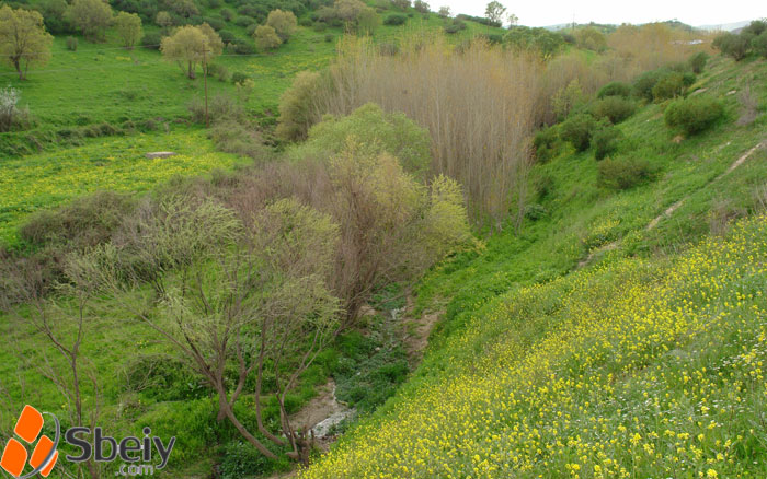 فۆتۆ: بێسارانه‌ ره‌ش