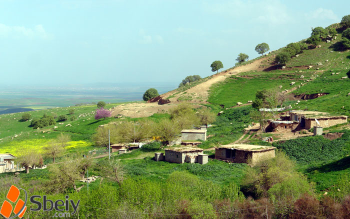 فۆتۆ: بێسارانه‌ ره‌ش